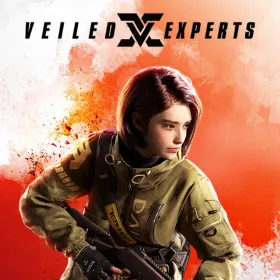 VEILED EXPERTS