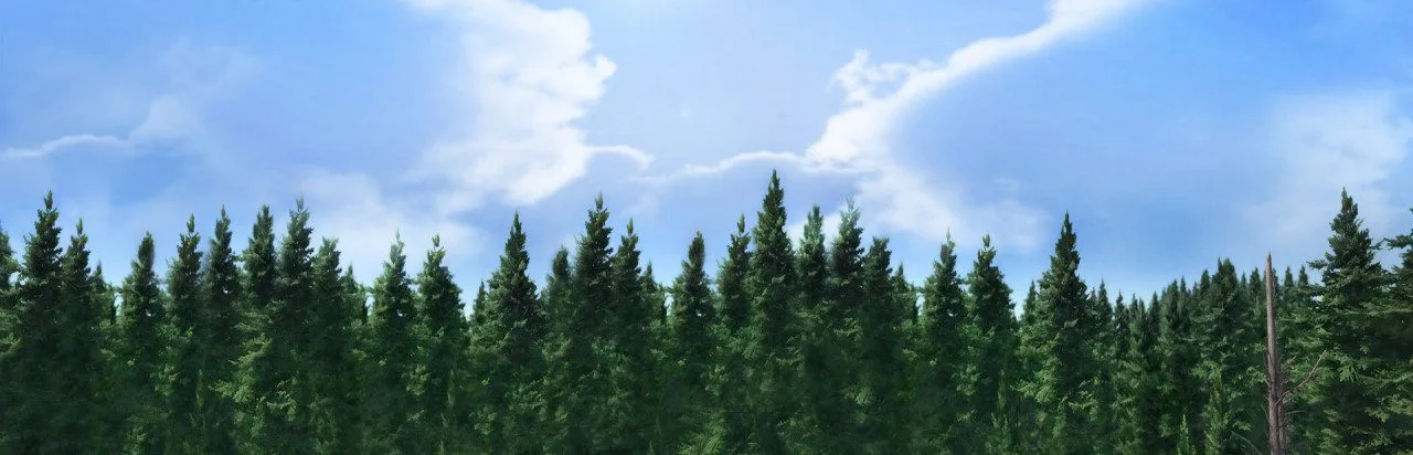 Rising World