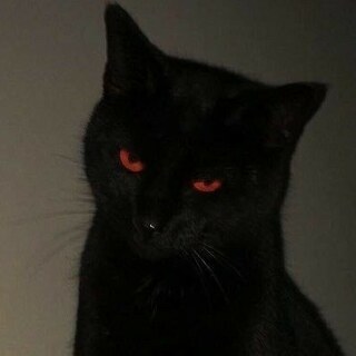 Анатолий