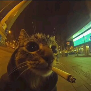 Drift
