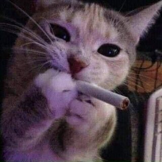 Бузина