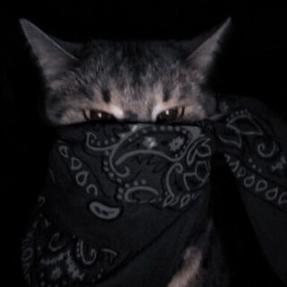 nightfalcon