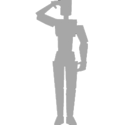 Salute