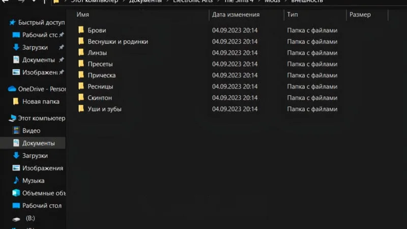 Подпапки для модов