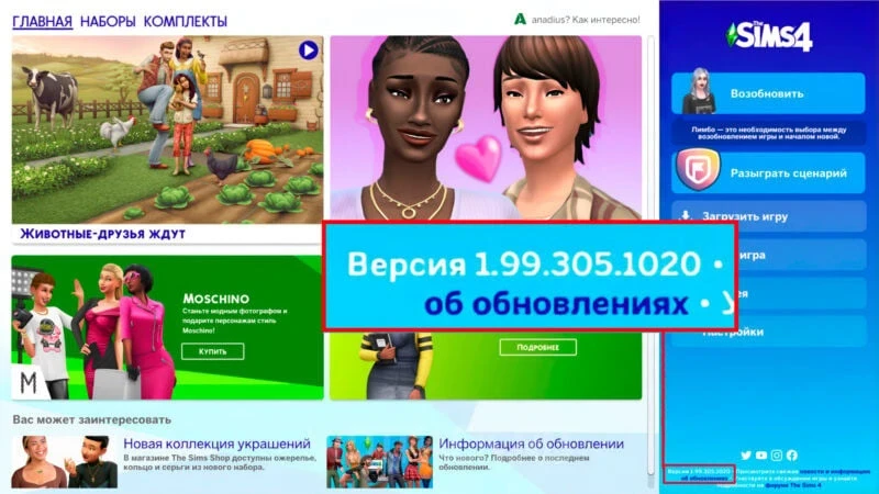 Как узнать версию игры