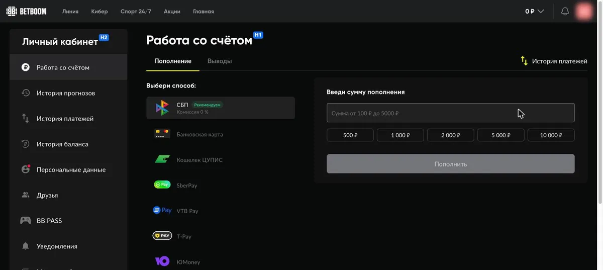 Раздел «Работа со счётом» → «Пополнение» в BetBoom: СБП, карта, Кошелек ЦУПИС, SberPay, VTB Pay, T-Pay, ЮMoney; сумма от 100 до 5 000 ₽