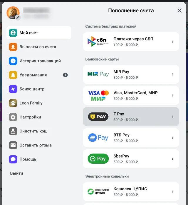 Касса Леона: СБП от 100 ₽, MIR Pay от 300 ₽, карты, T-Pay, ВТБ Pay, SberPay и Кошелек ЦУПИС от 500 ₽, максимум 5 000 ₽
