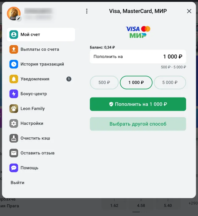 Пополнение картой Visa, MasterCard, МИР в Леоне: от 500 до 5 000 ₽, быстрые суммы 500, 1 000 и 5 000 ₽