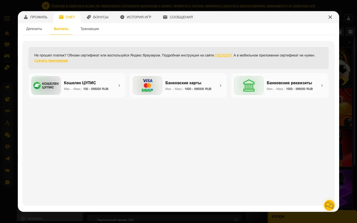 Касса Мелбета, вкладка «Выплаты»: кошелёк ЦУПИС от 100 ₽, банковские карты и реквизиты от 1 000 ₽, максимум 595 000 ₽