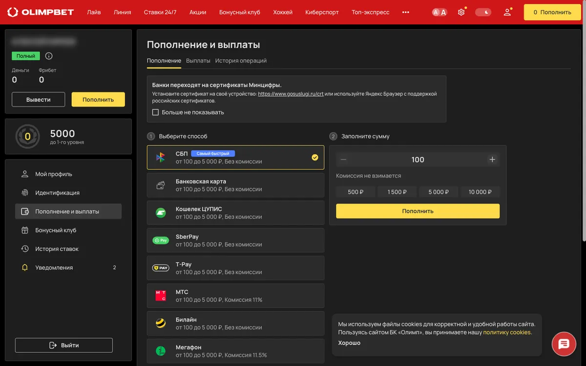 Окно пополнения OLIMPBET: СБП, карта, Кошелек ЦУПИС, SberPay, T-Pay, МТС, Билайн, Мегафон, у всех от 100 до 5 000 ₽
