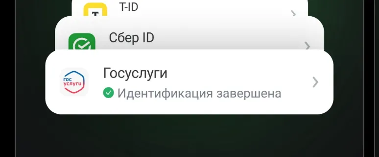 Способы подтверждения личности в ЕДИНОМ ЦУПИС: T-ID, Сбер ID, Госуслуги